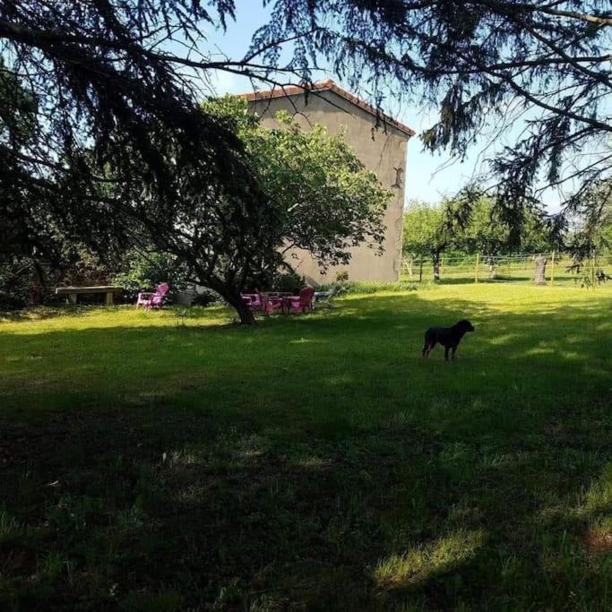 Gite La Roche Paisible Saint-Julien-de-Coppel Exterior foto